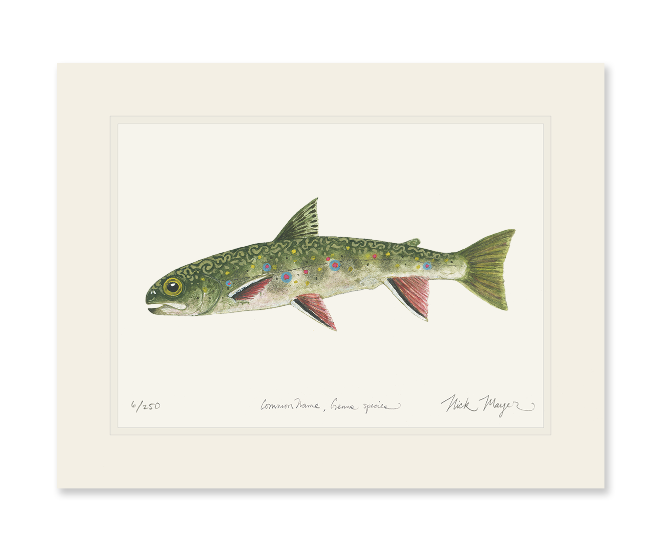 Juvenile Brook Trout Limited Edition Print