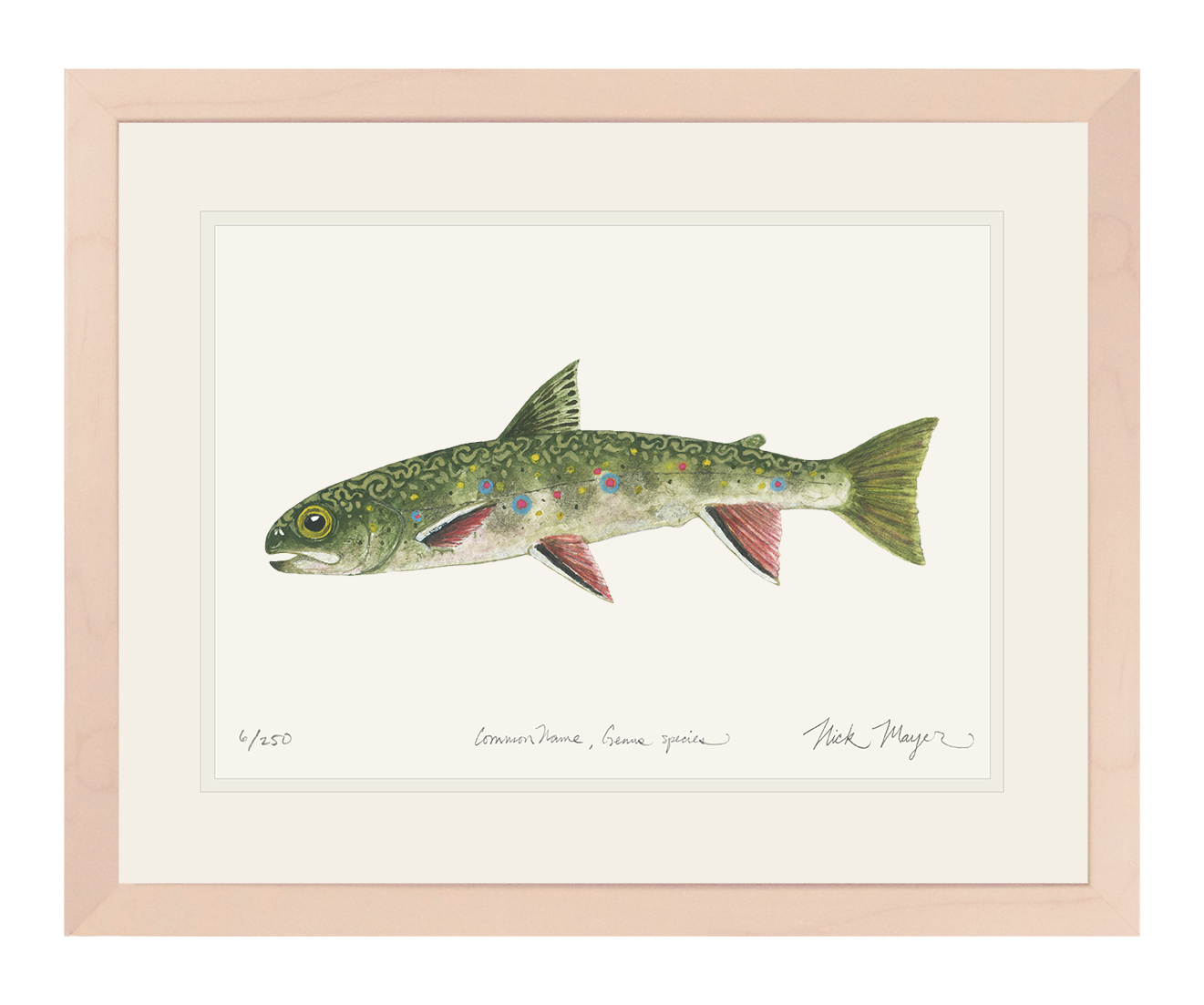 Juvenile Brook Trout Limited Edition Print
