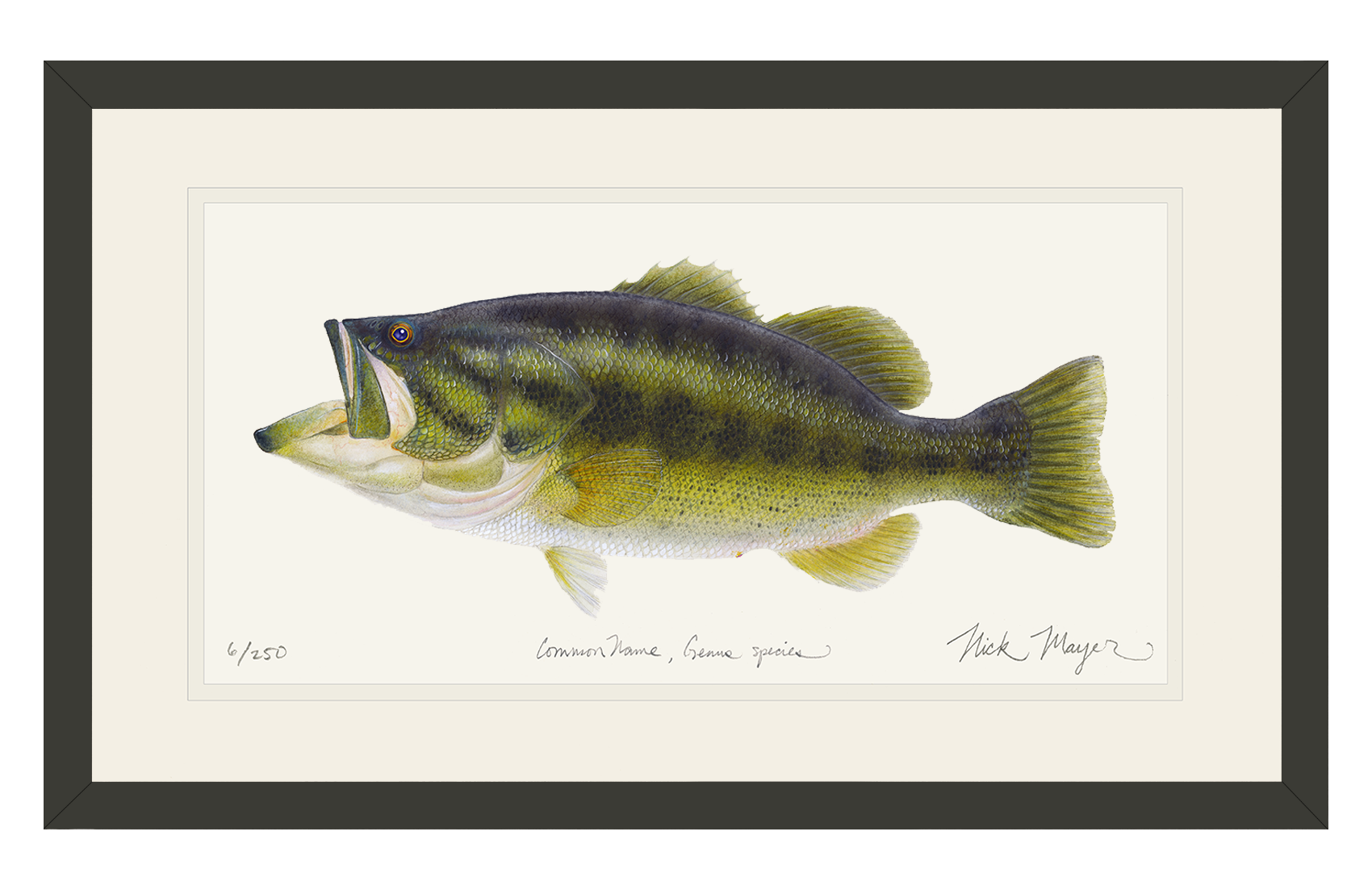Largemouth Bass I, Original Watercolor Painting