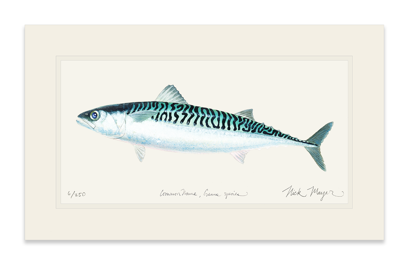 Mackerel Limited Edition Print