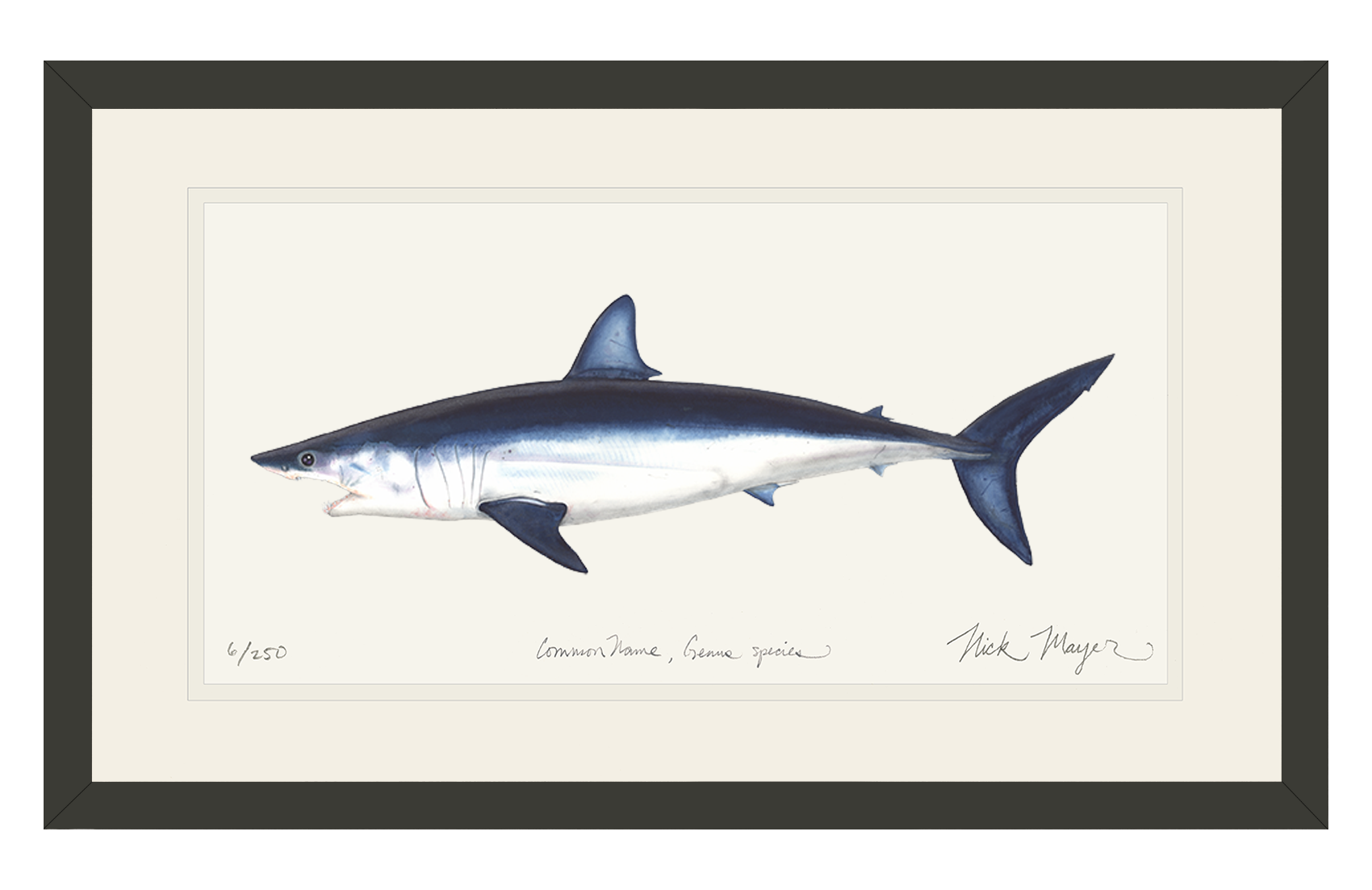 Mako Shark Print