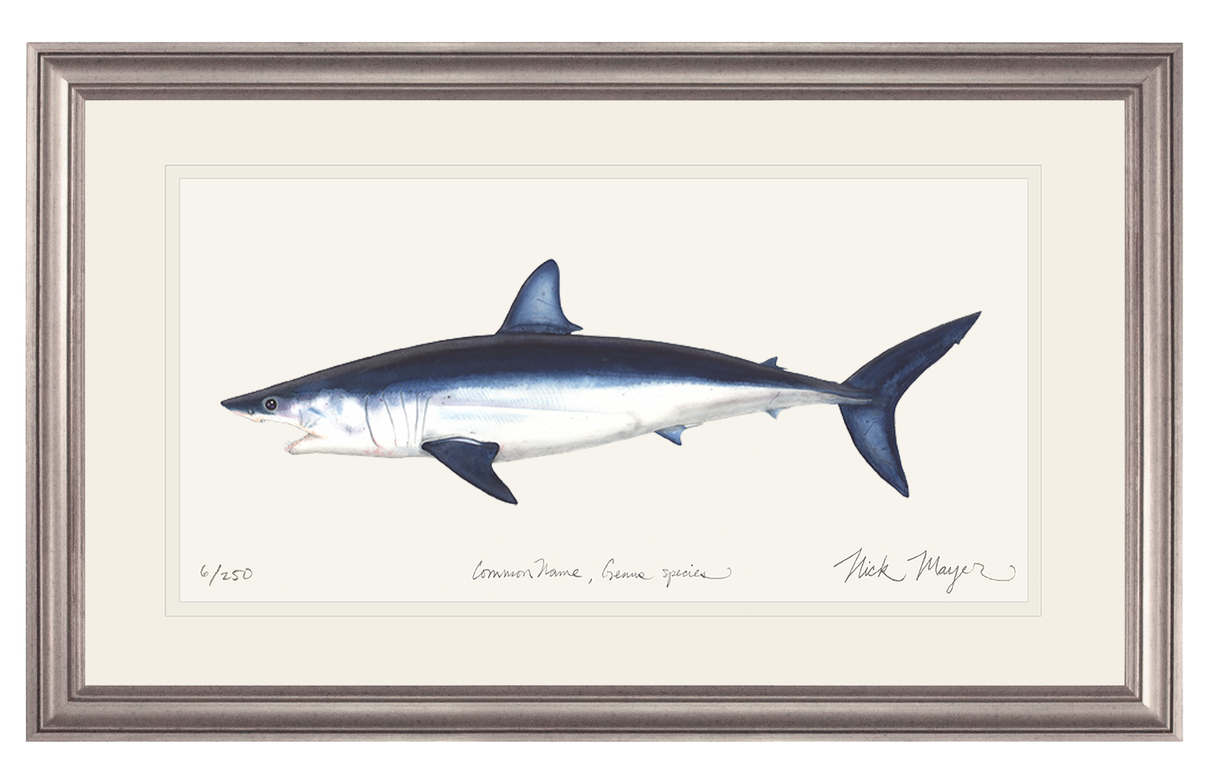 Mako Shark Print