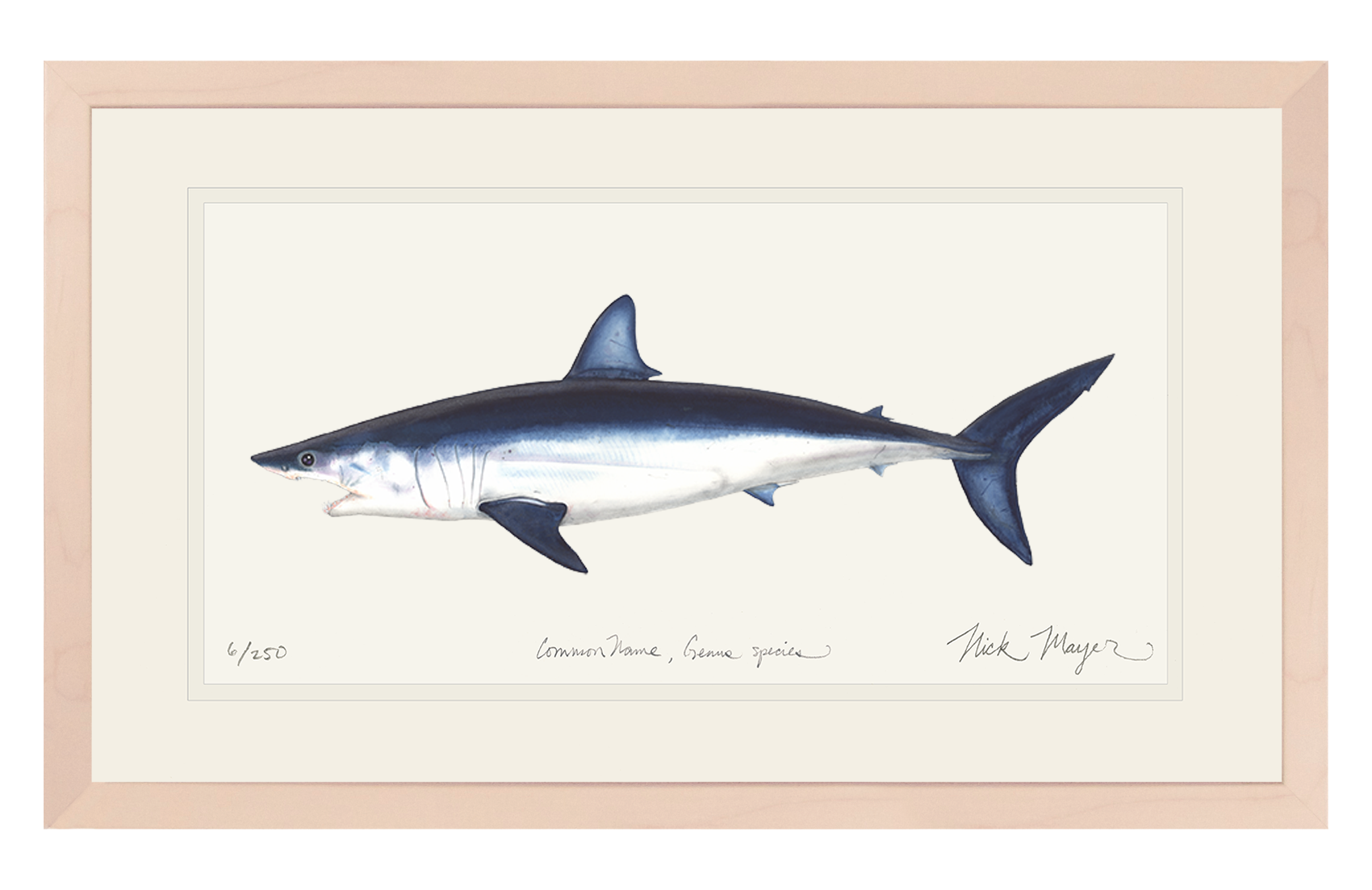 Mako Shark Print
