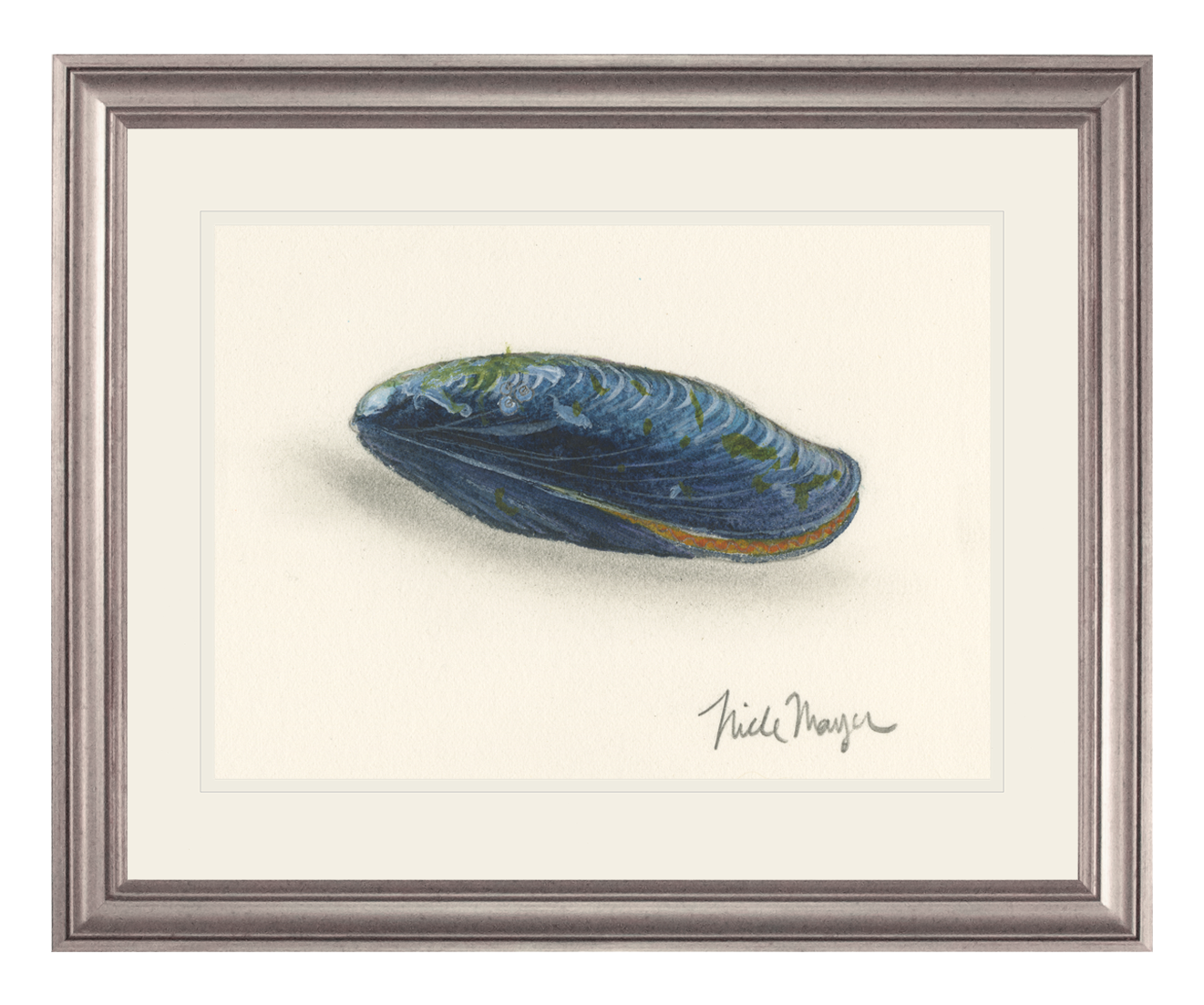 Blue Mussel Print