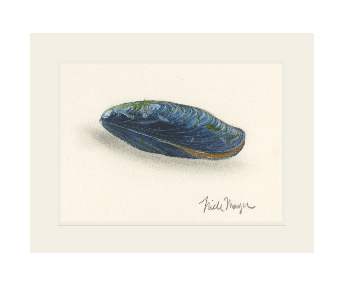Blue Mussel Print