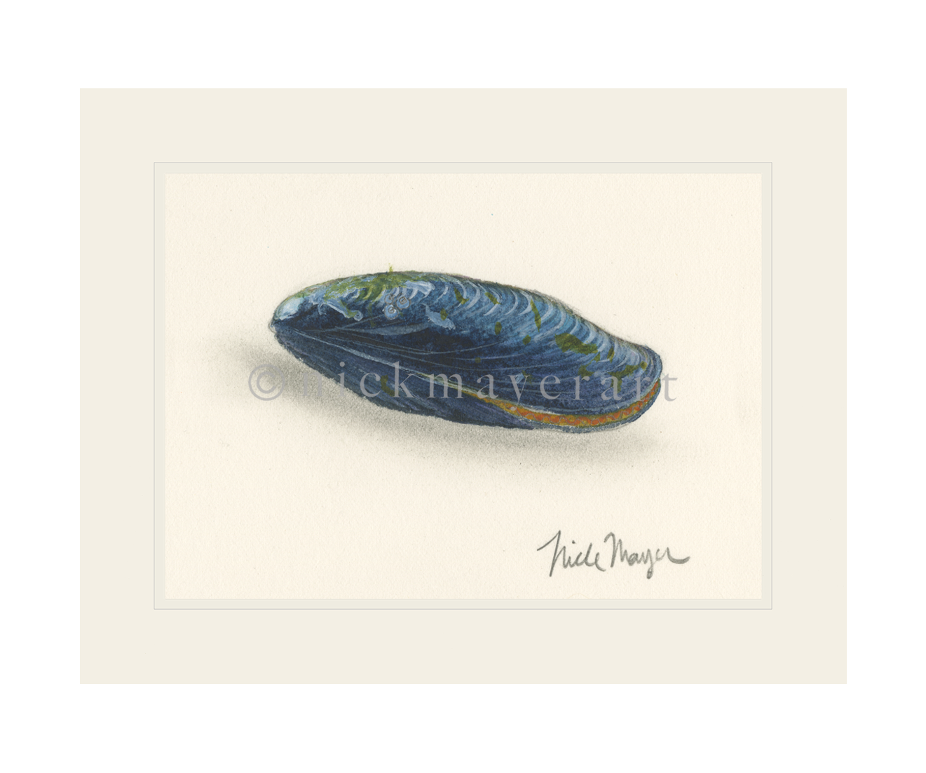 watermark