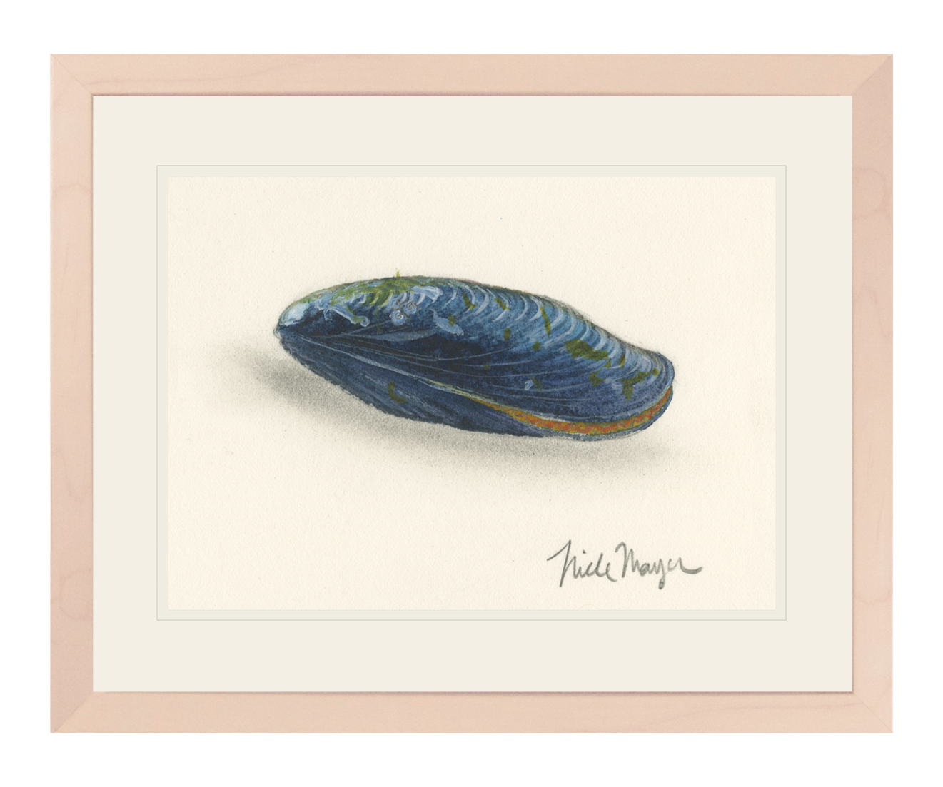 Blue Mussel Print