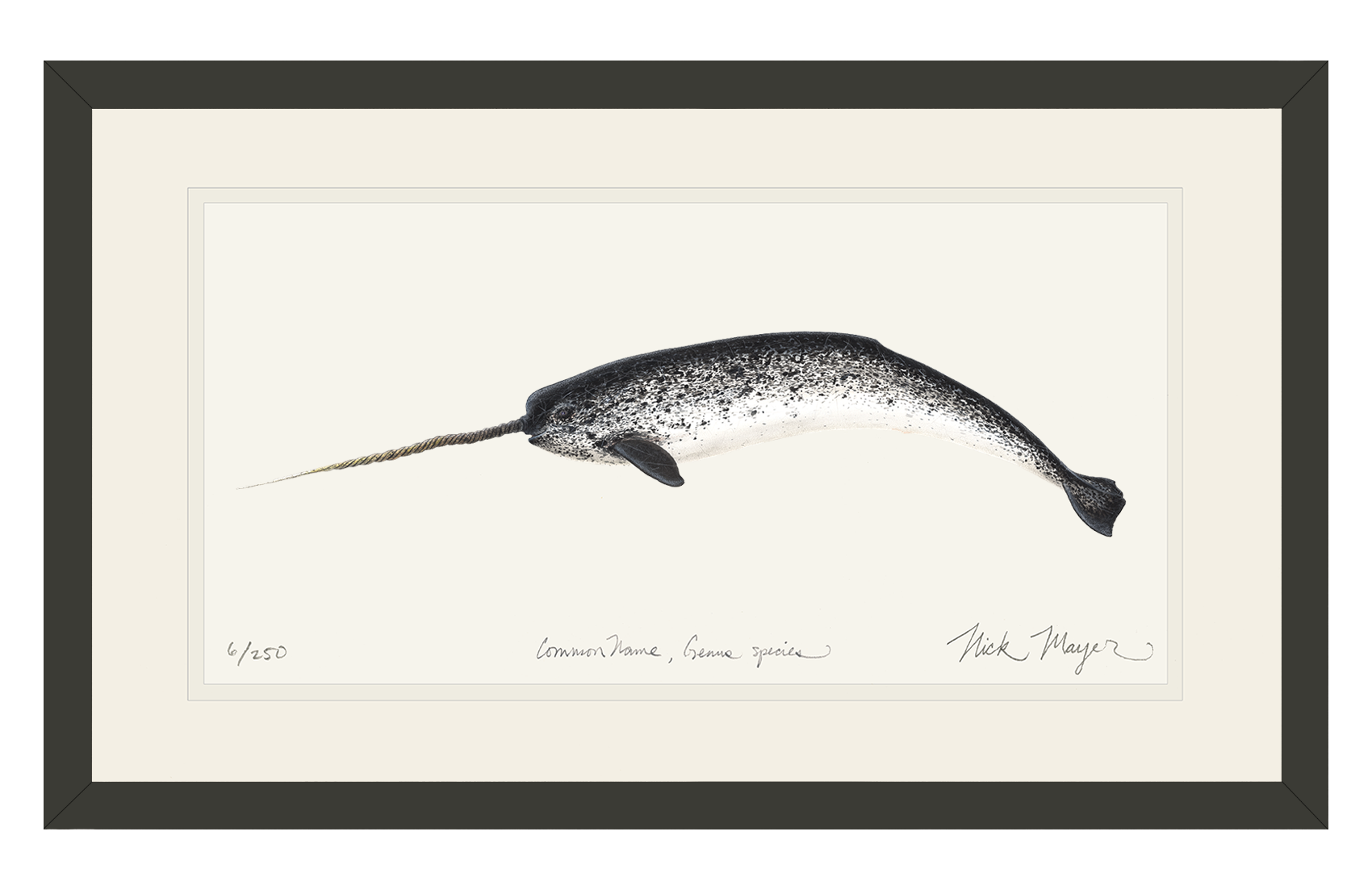 Narwhal Limited Edition Print