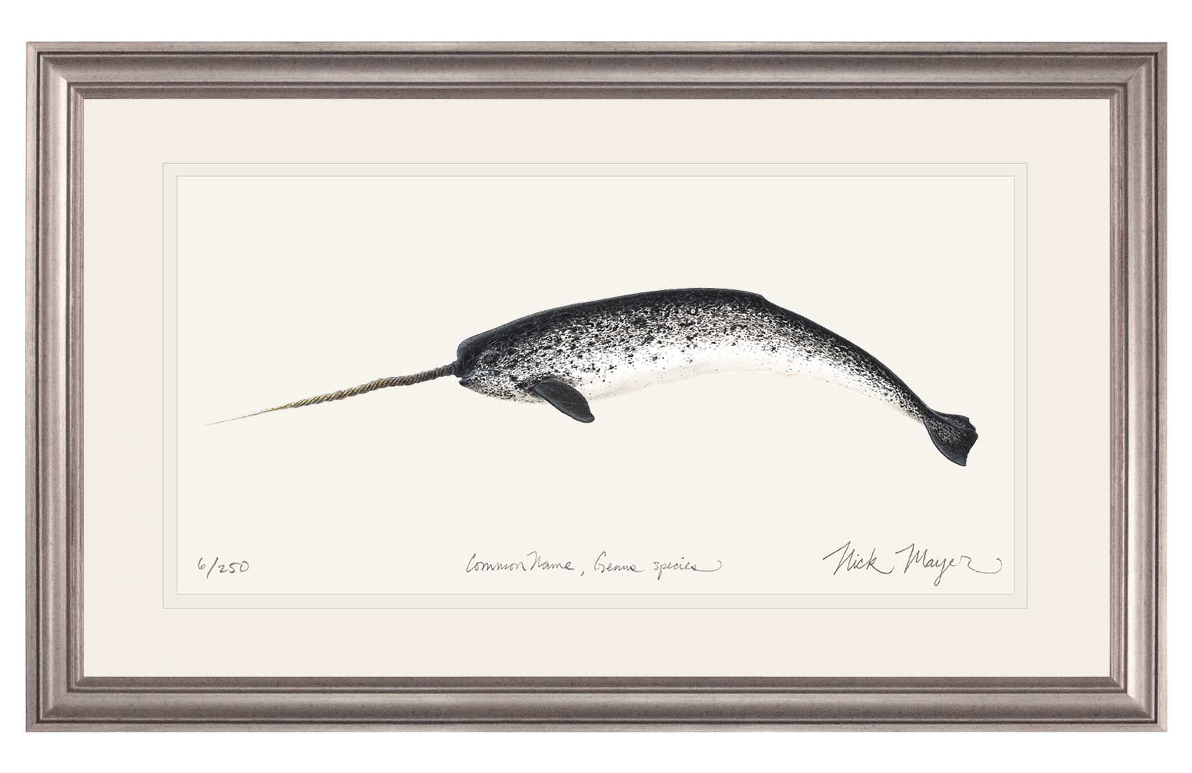 Narwhal Print