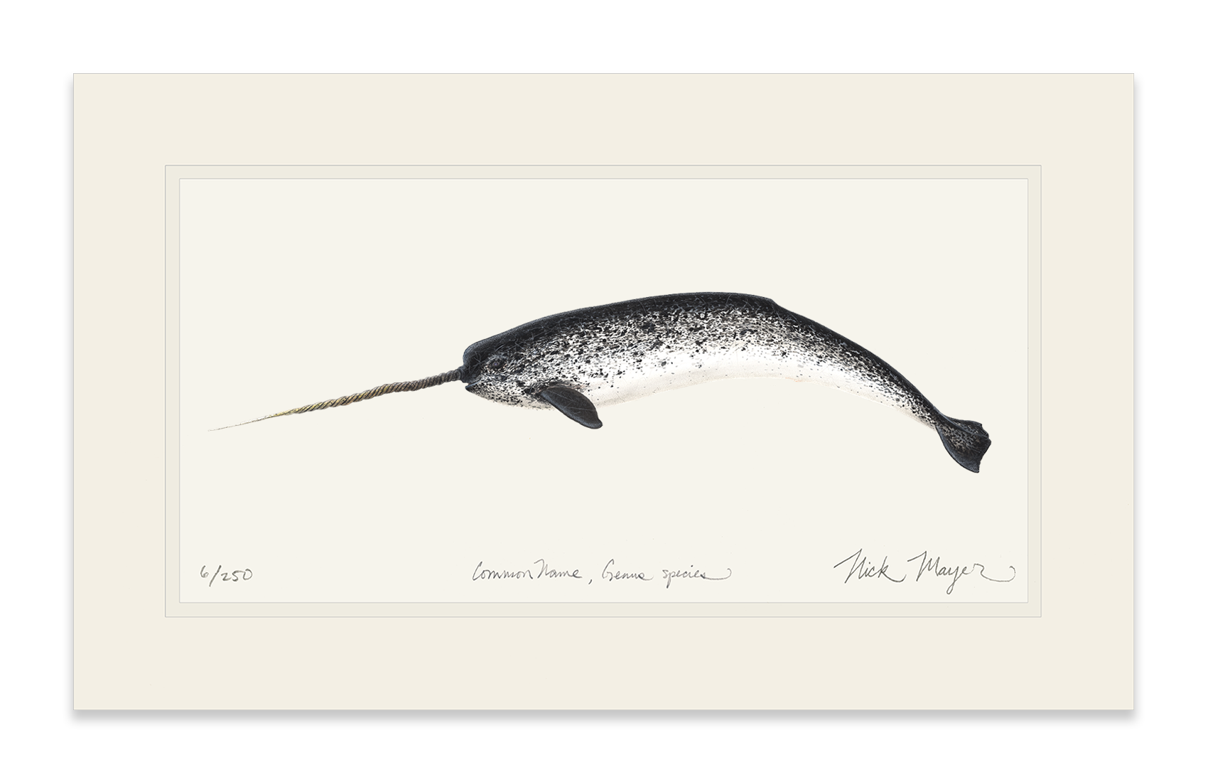 Narwhal Print