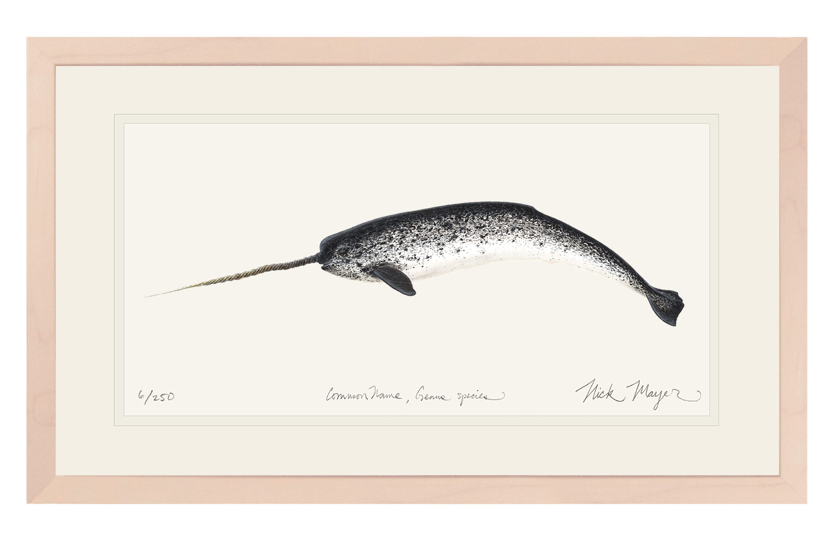 Narwhal Print