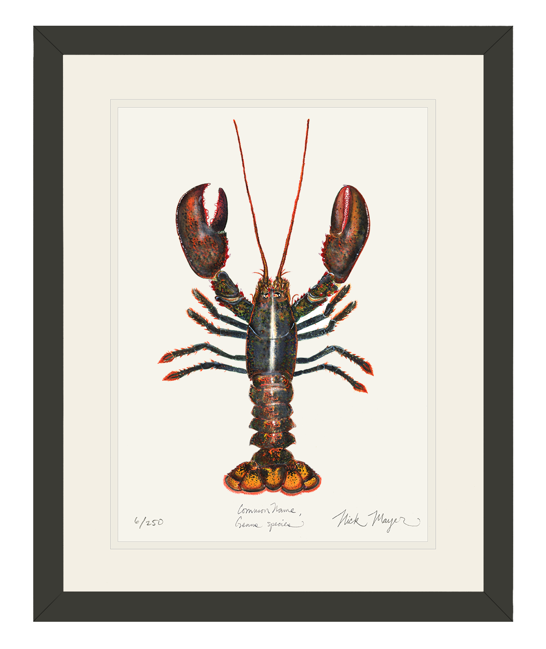 Northern Lobster I, Large Hand-Signed Framed Print