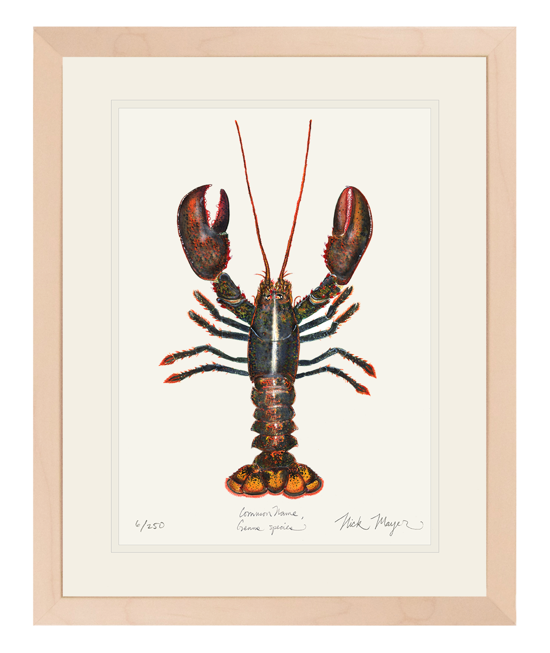 Northern Lobster I Limited Edition Print