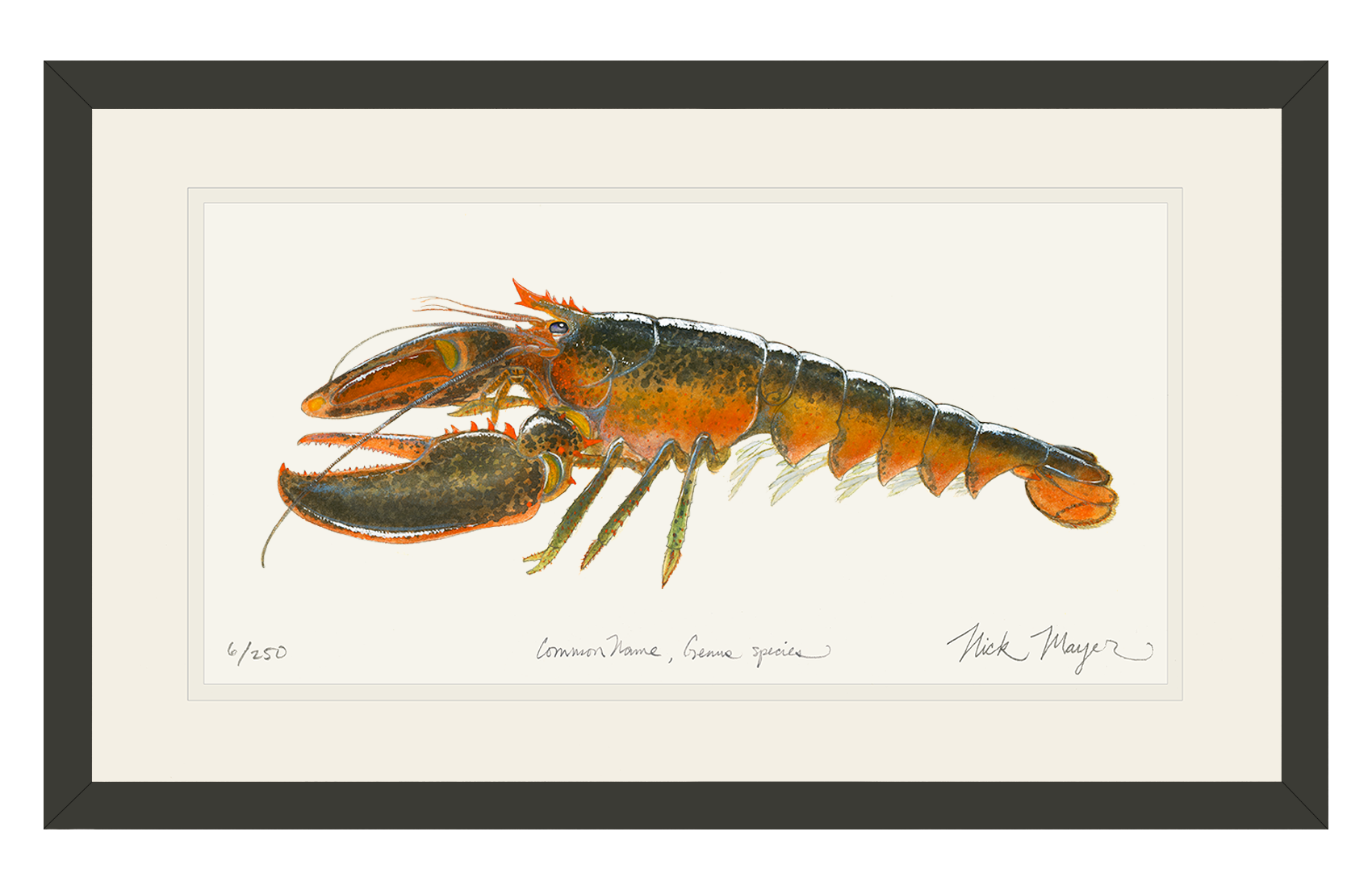 Northern Lobster II Limited Edition Print