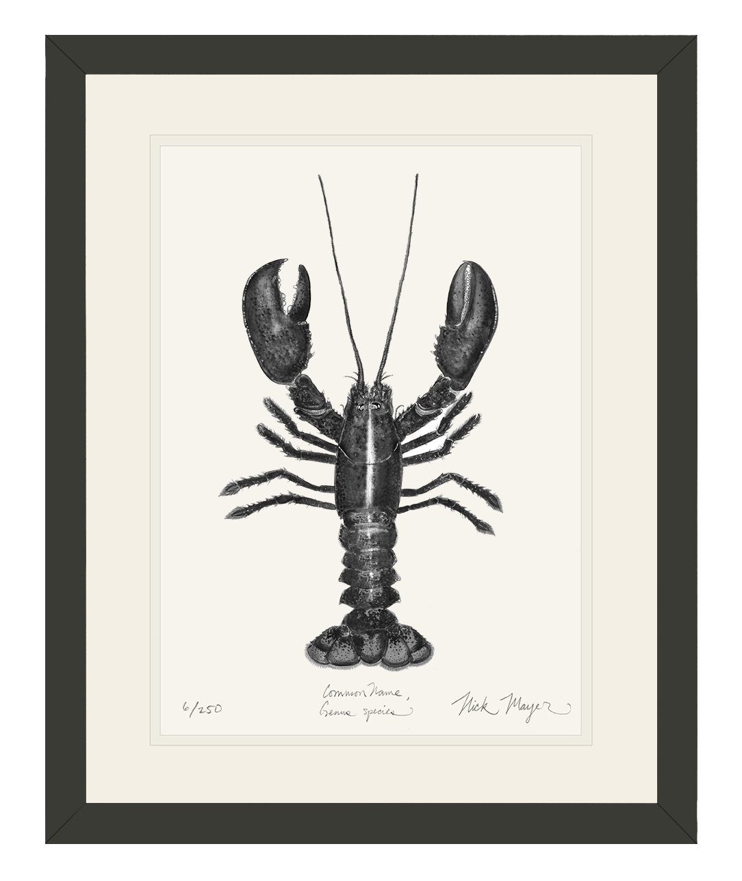 Northern Lobster I Limited Edition Print (B&W)
