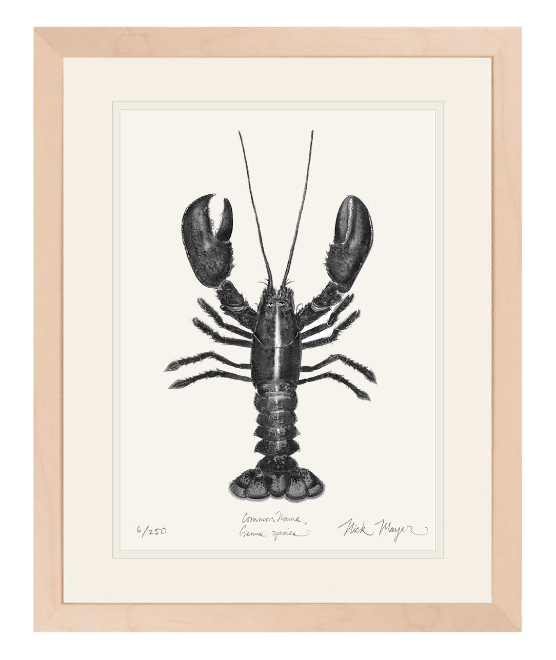Northern Lobster I Limited Edition Print (B&W)