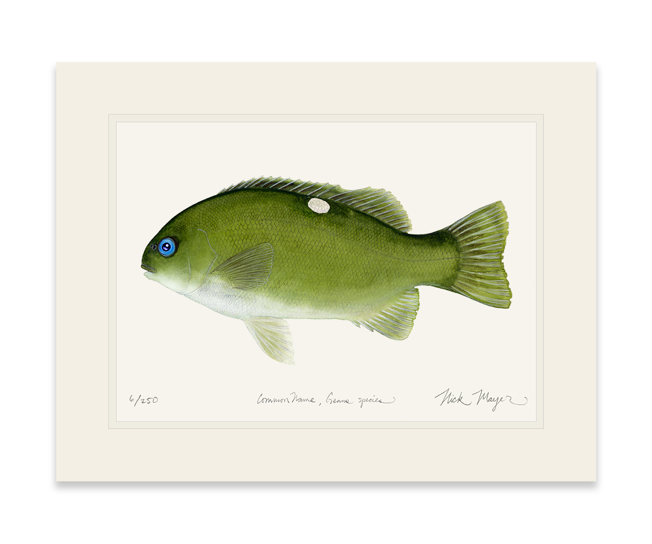 Opaleye Limited Edition Print