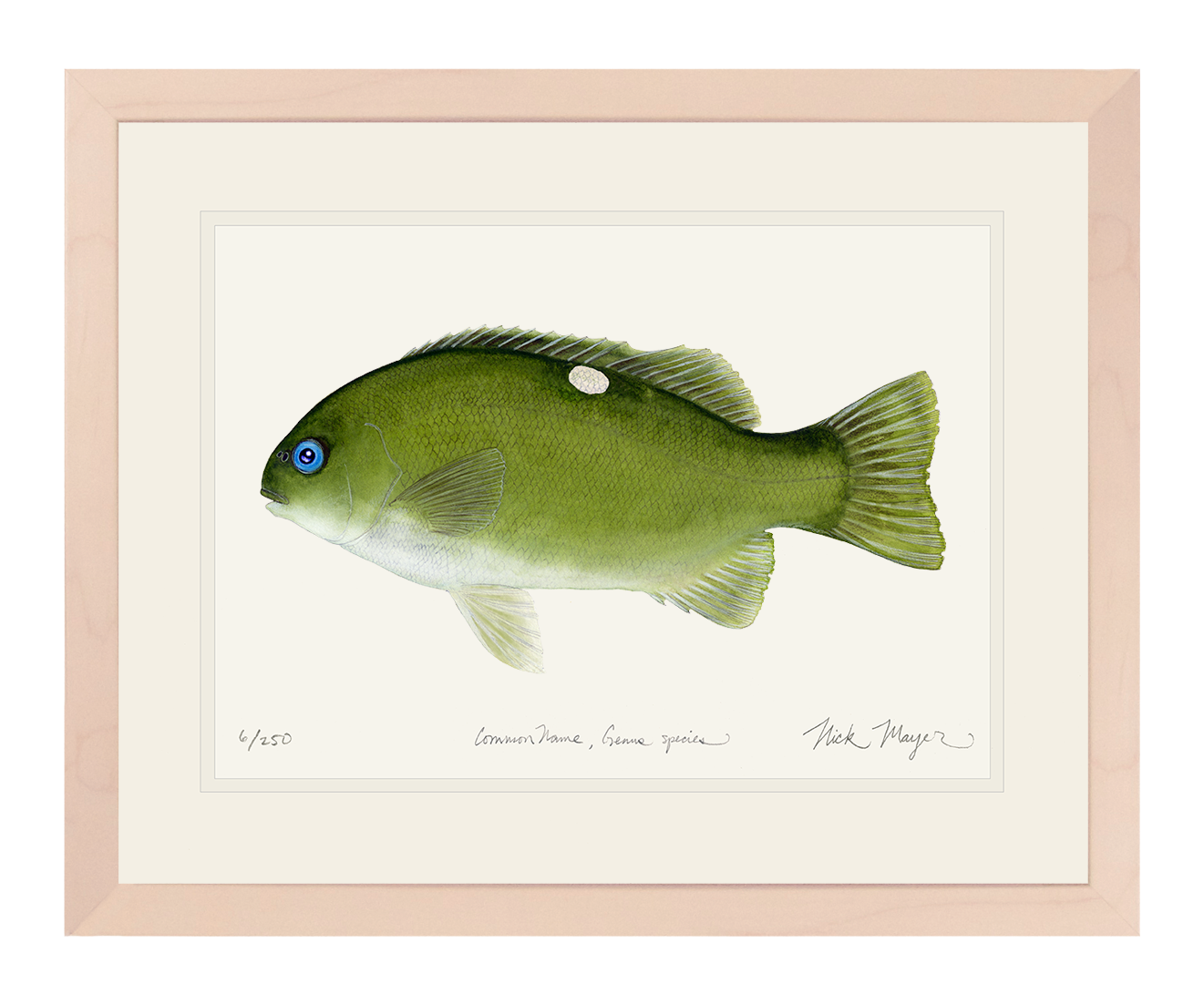 Opaleye Limited Edition Print