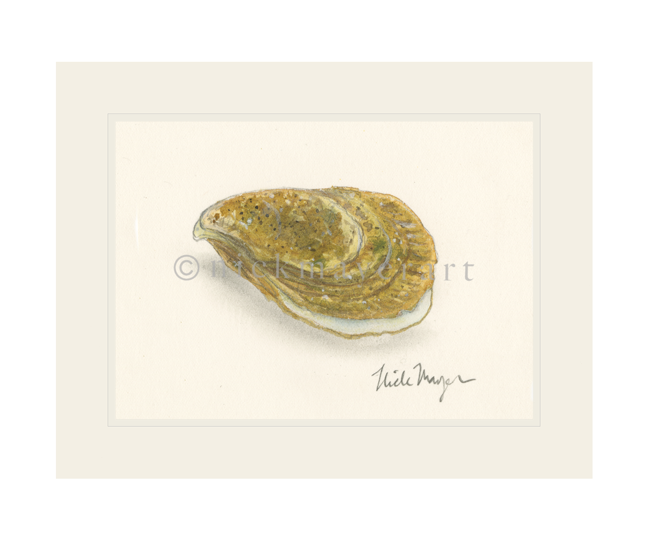 Atlantic Oyster II Limited Edition Print