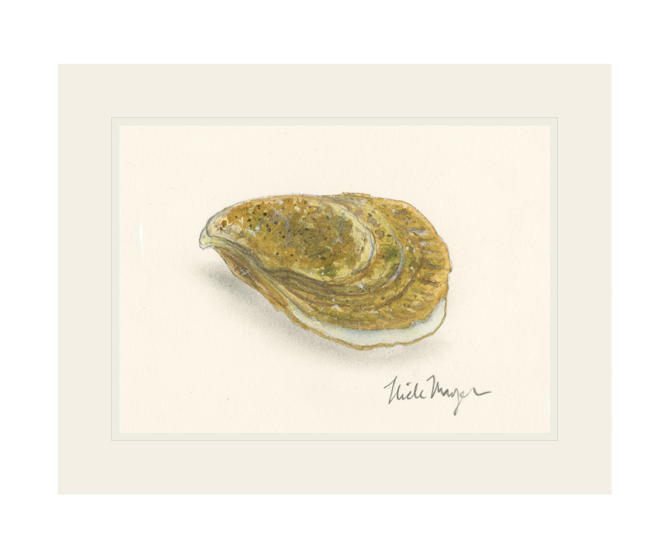 Atlantic Oyster II Print