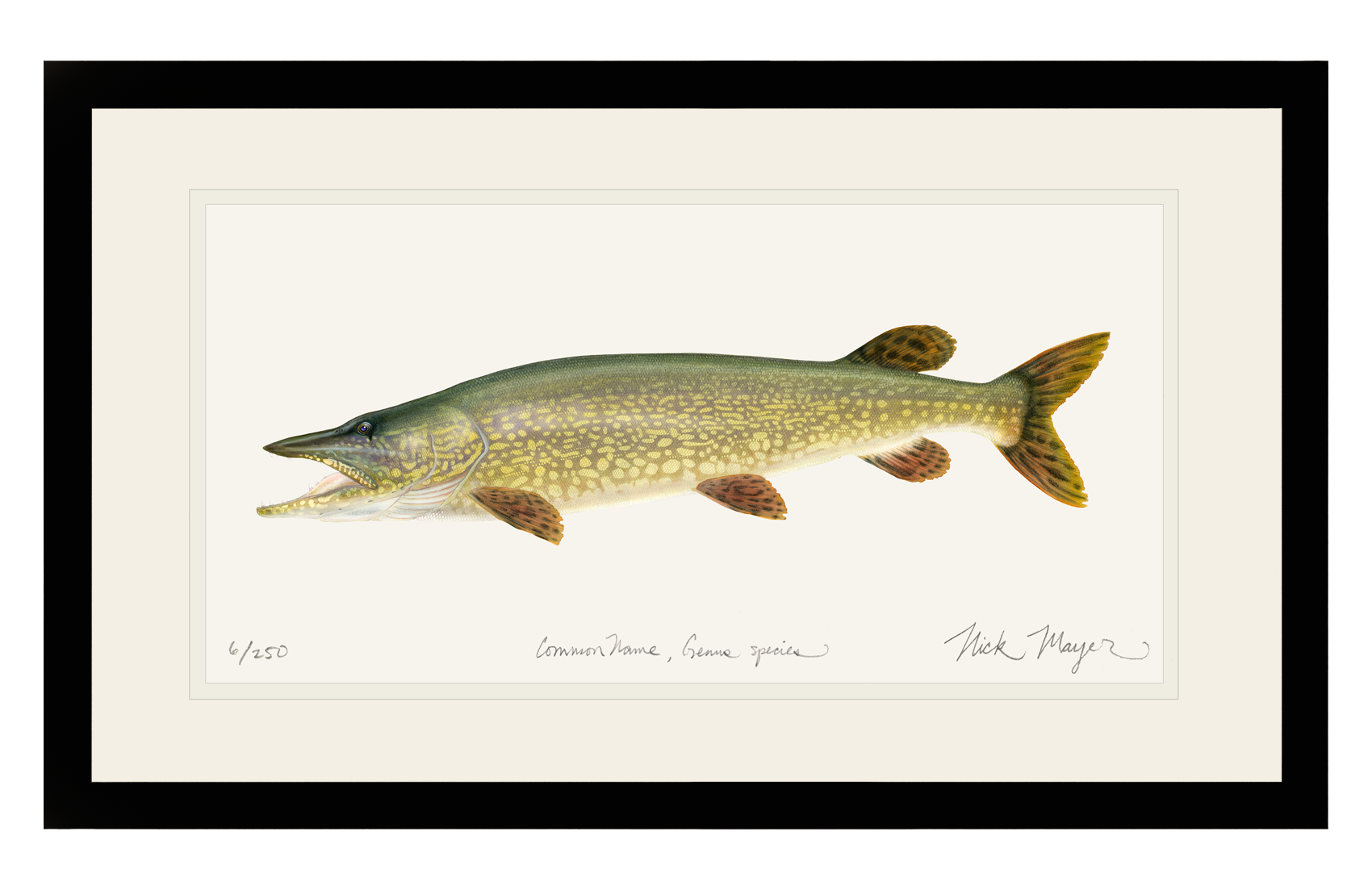 Northern Pike Print