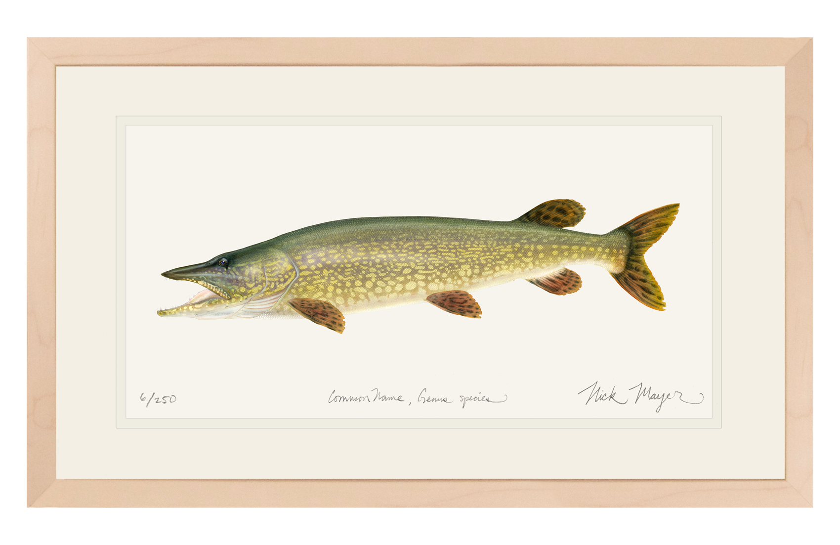 Northern Pike Limited Edition Print