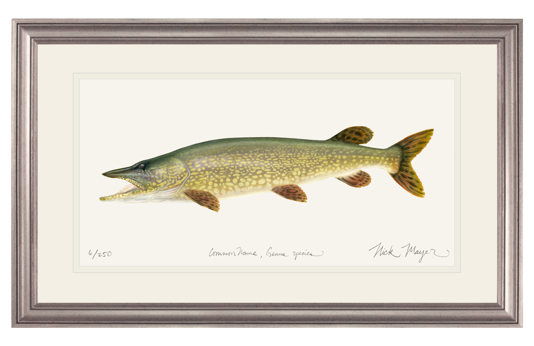 Northern Pike Limited Edition Print