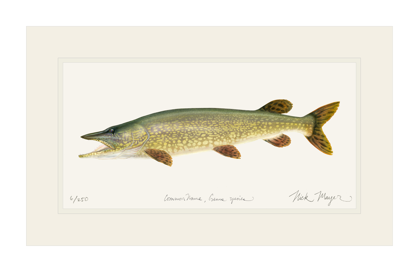Northern Pike Print