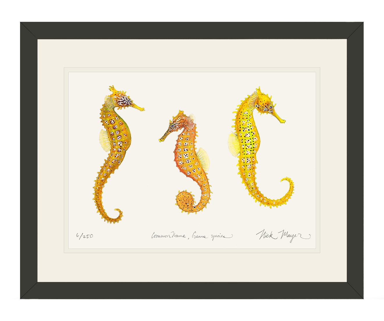 Giant Seahorse Trio Limited Edition Print