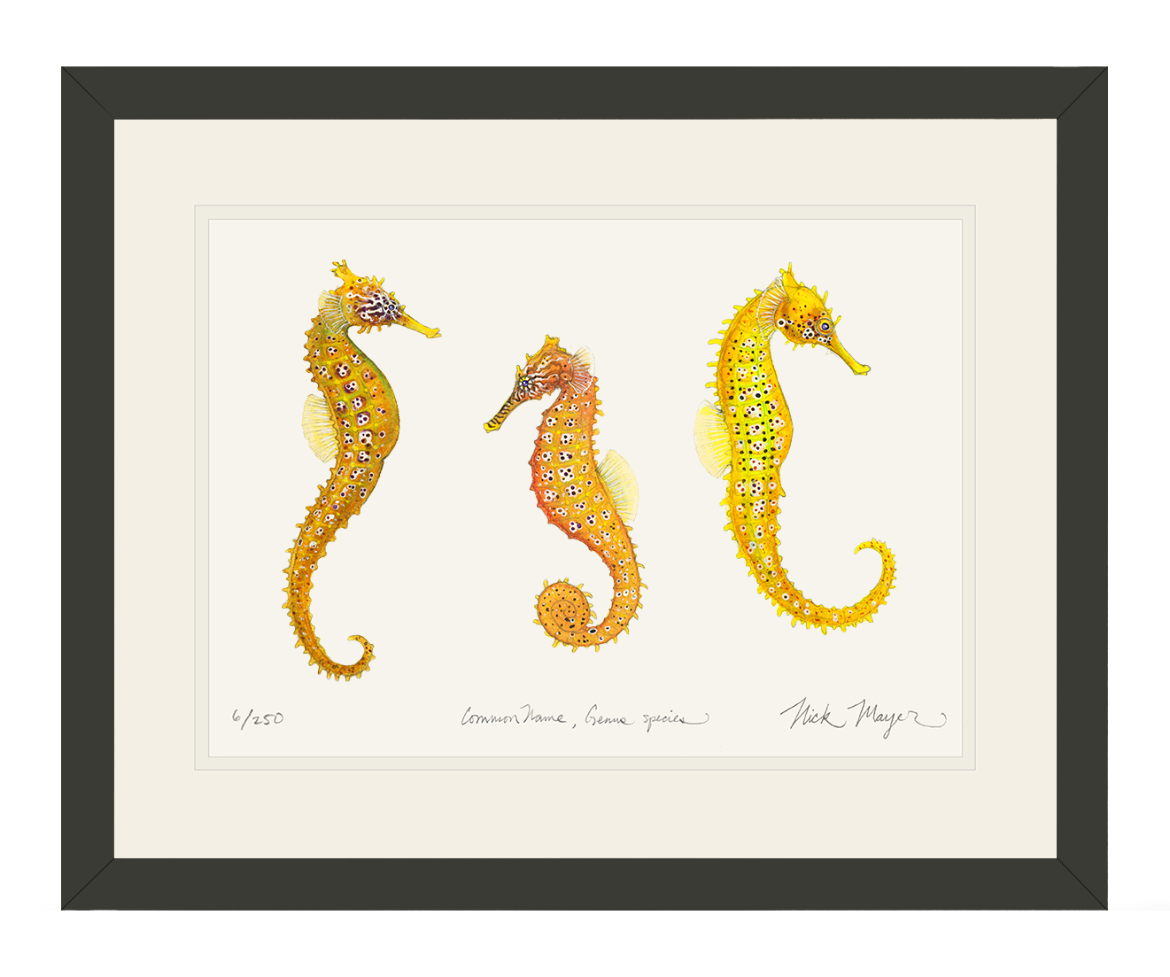 Giant Seahorse Trio Print