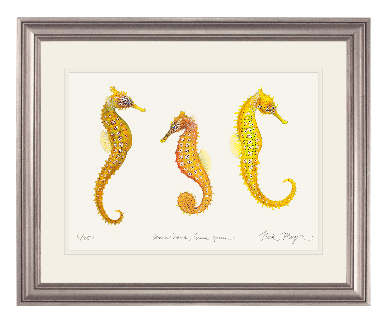 Giant Seahorse Trio Limited Edition Print