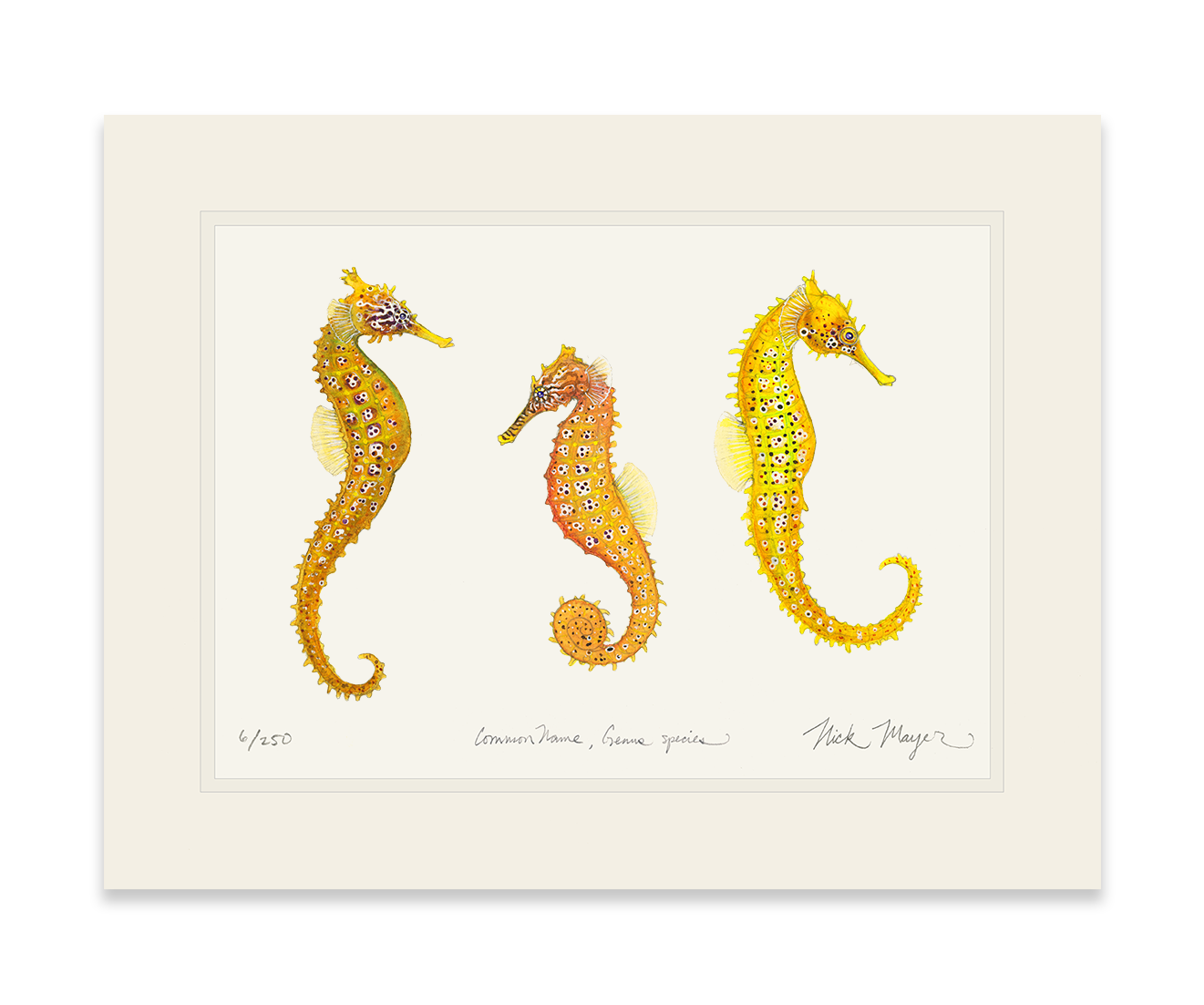 Giant Seahorse Trio Limited Edition Print