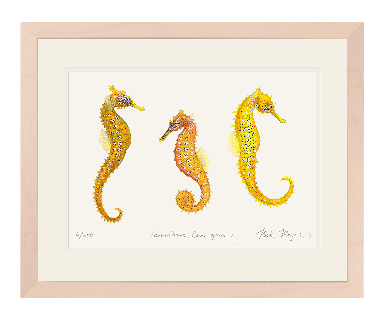 Giant Seahorse Trio Limited Edition Print