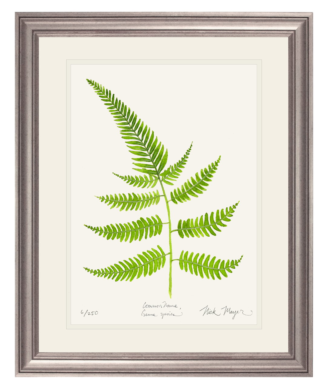 Painted Fern Limited Edition Print