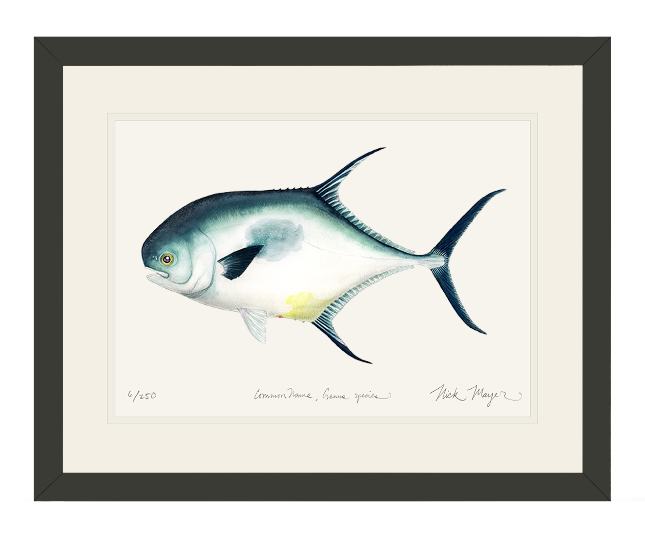 Atlantic Permit Print