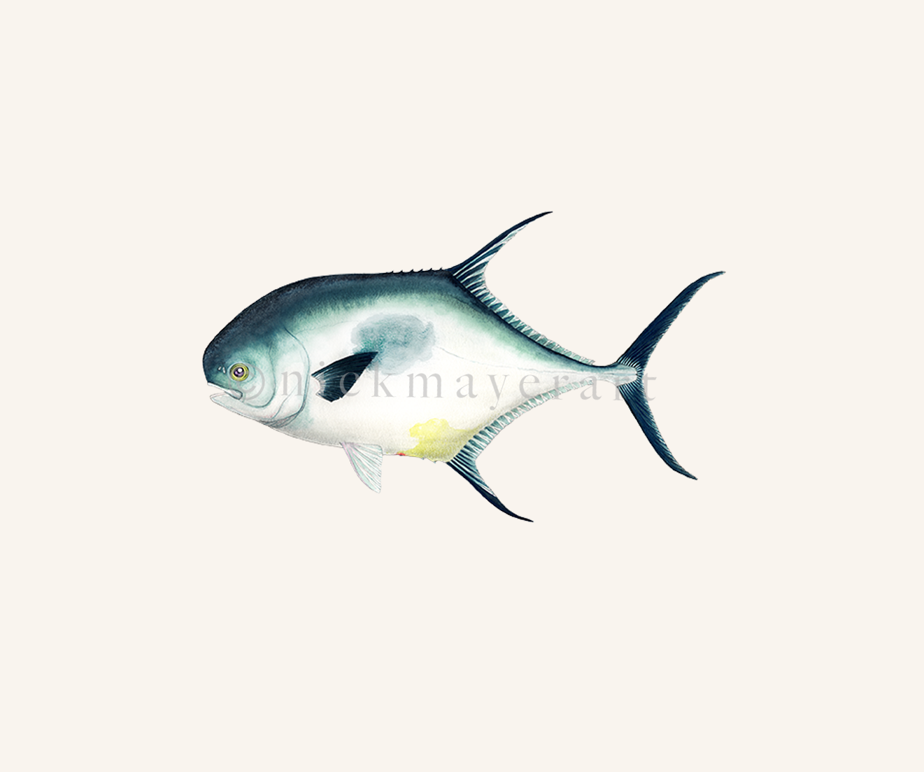 watermark