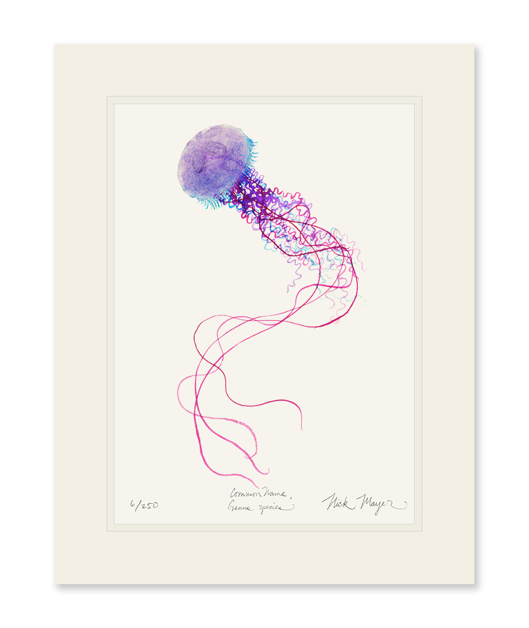 Purple Jellyfish I Limited Edition Print