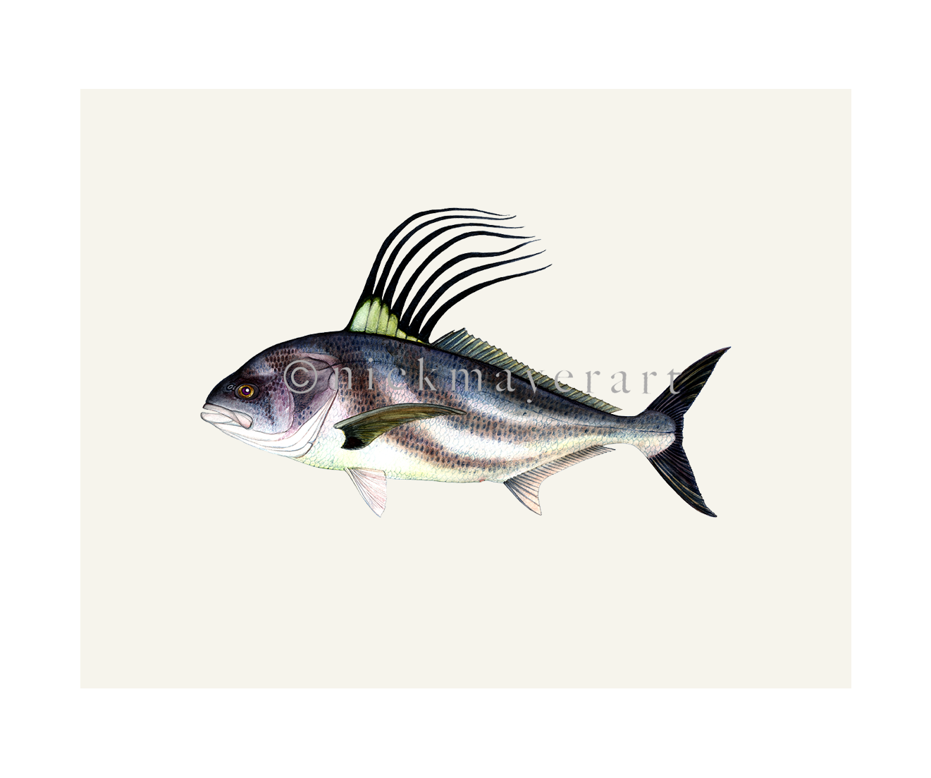 watermark