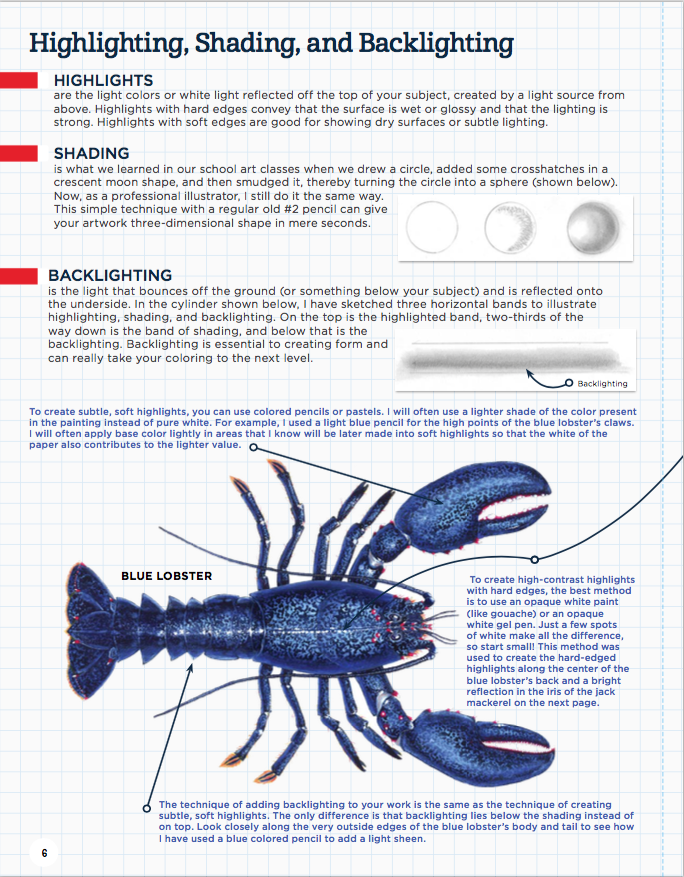Wild Oceans Coloring Book, Signed by Nick Mayer