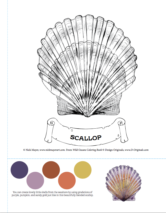 Wild Oceans Coloring Book, Signed by Nick Mayer