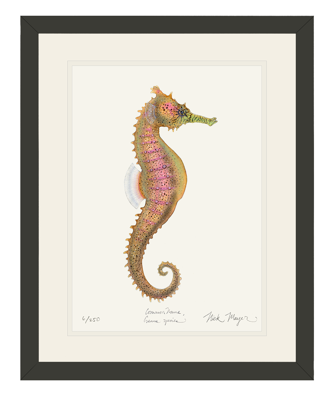 Estuary Seahorse Limited Edition Print