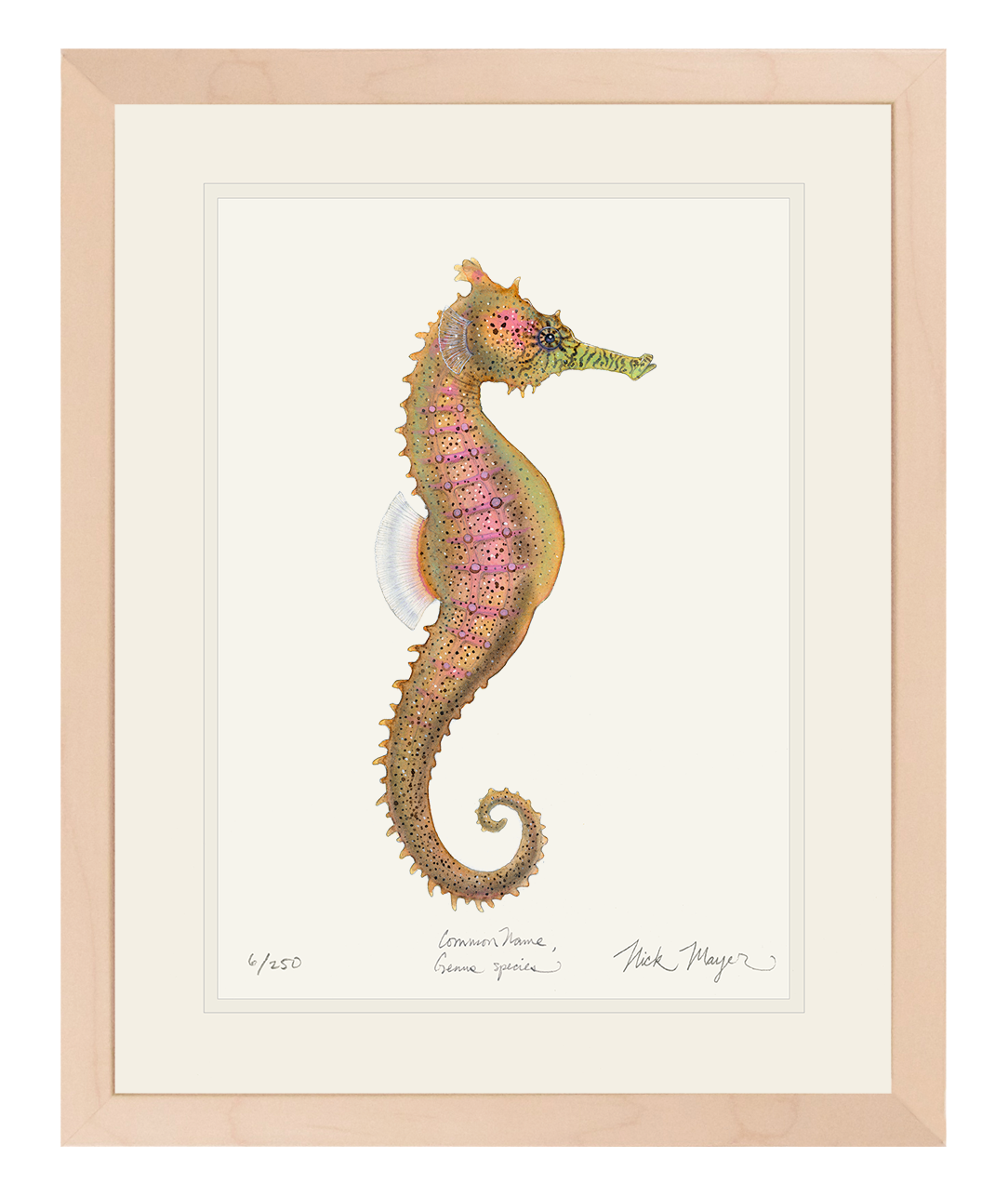 Estuary Seahorse Limited Edition Print