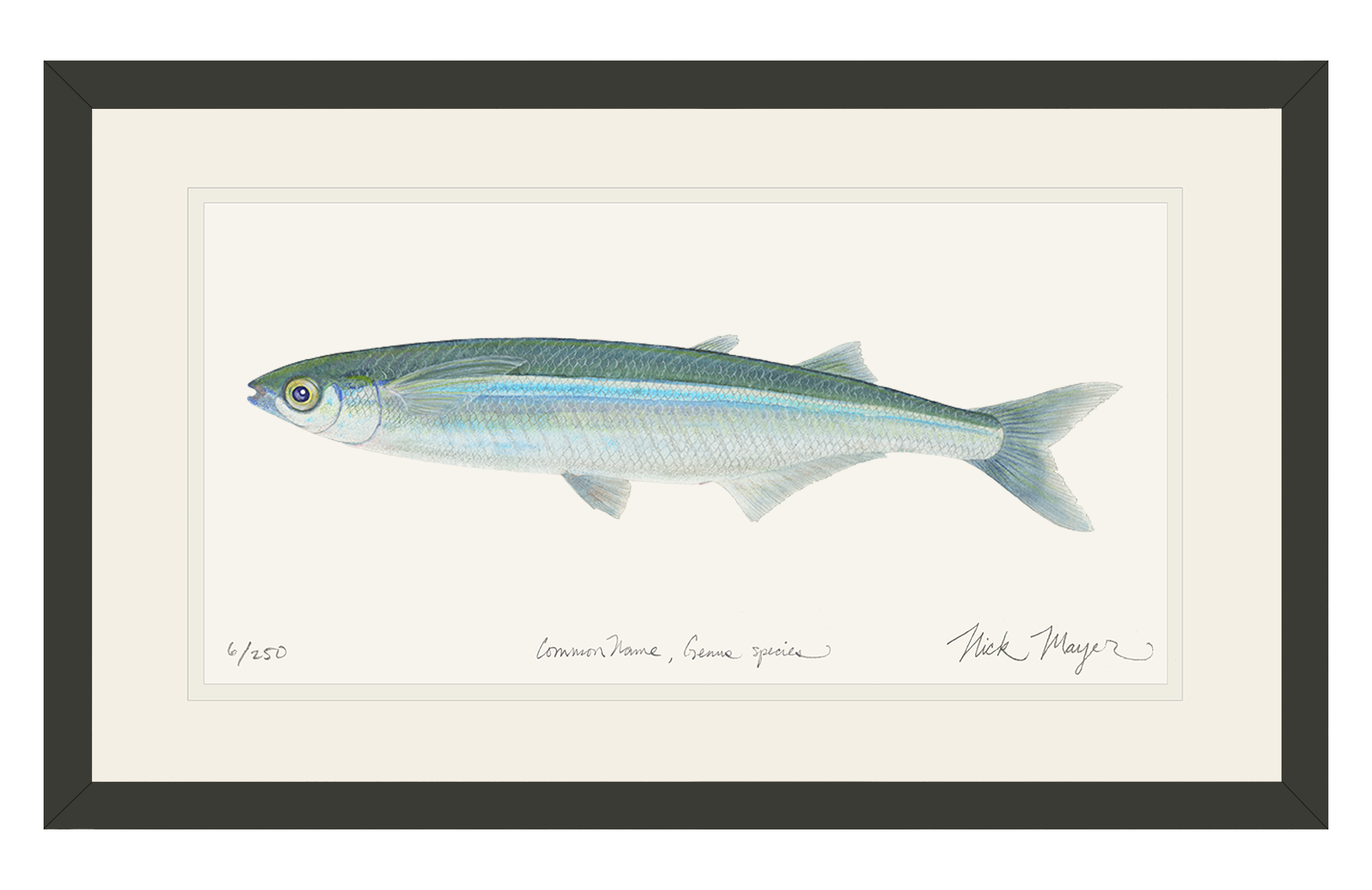 Smelt Print