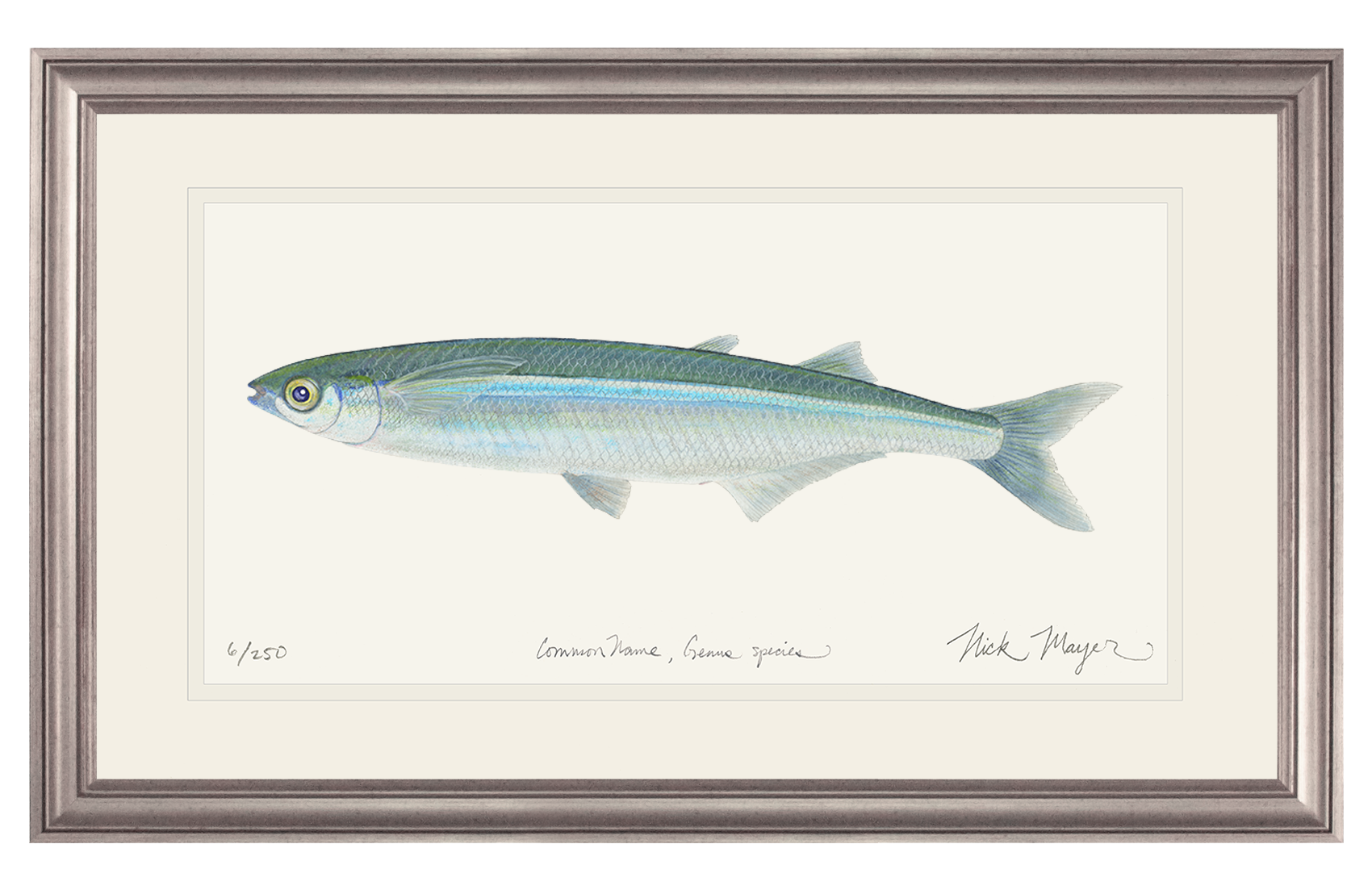 Smelt Print