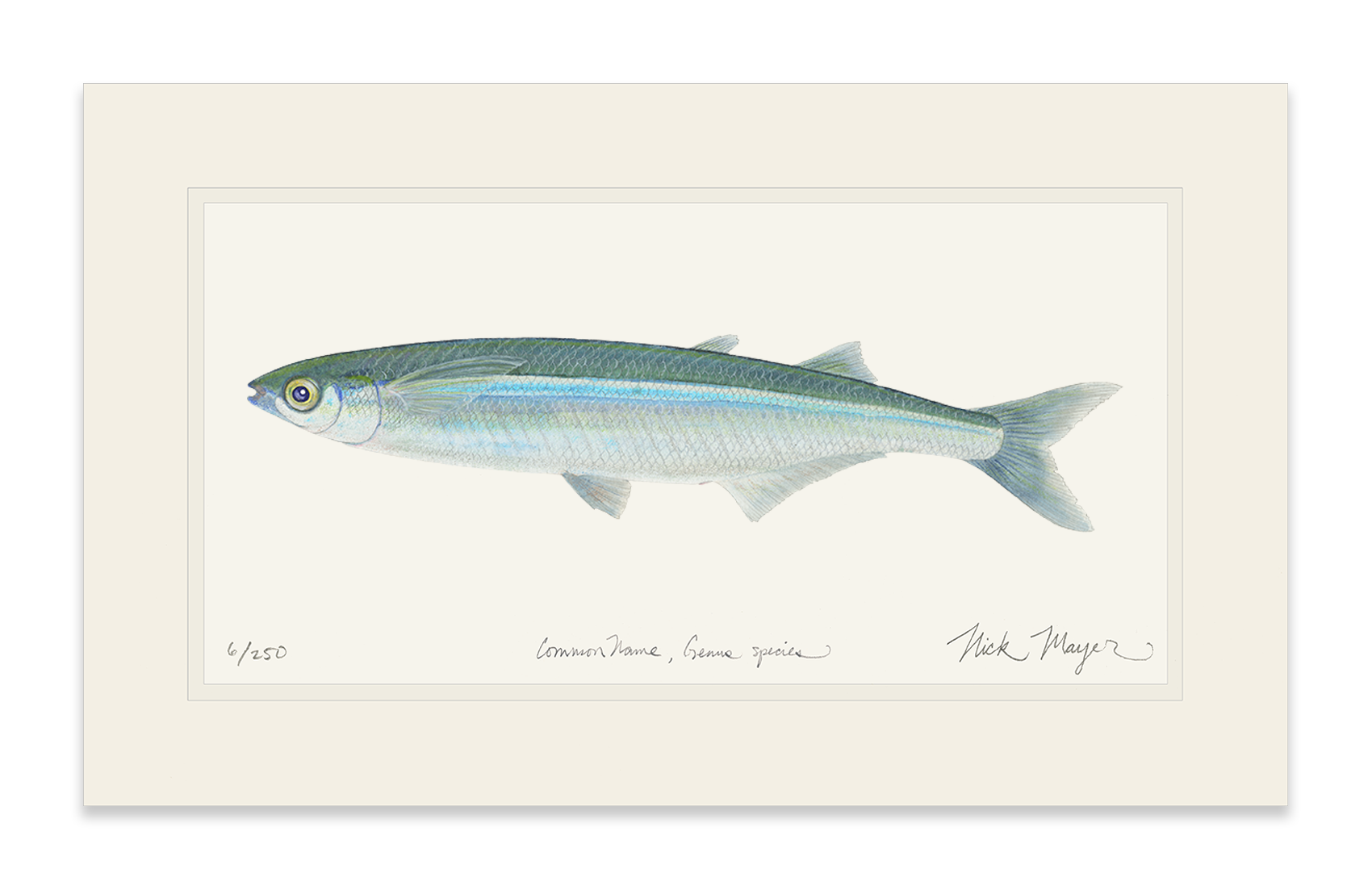Smelt Print