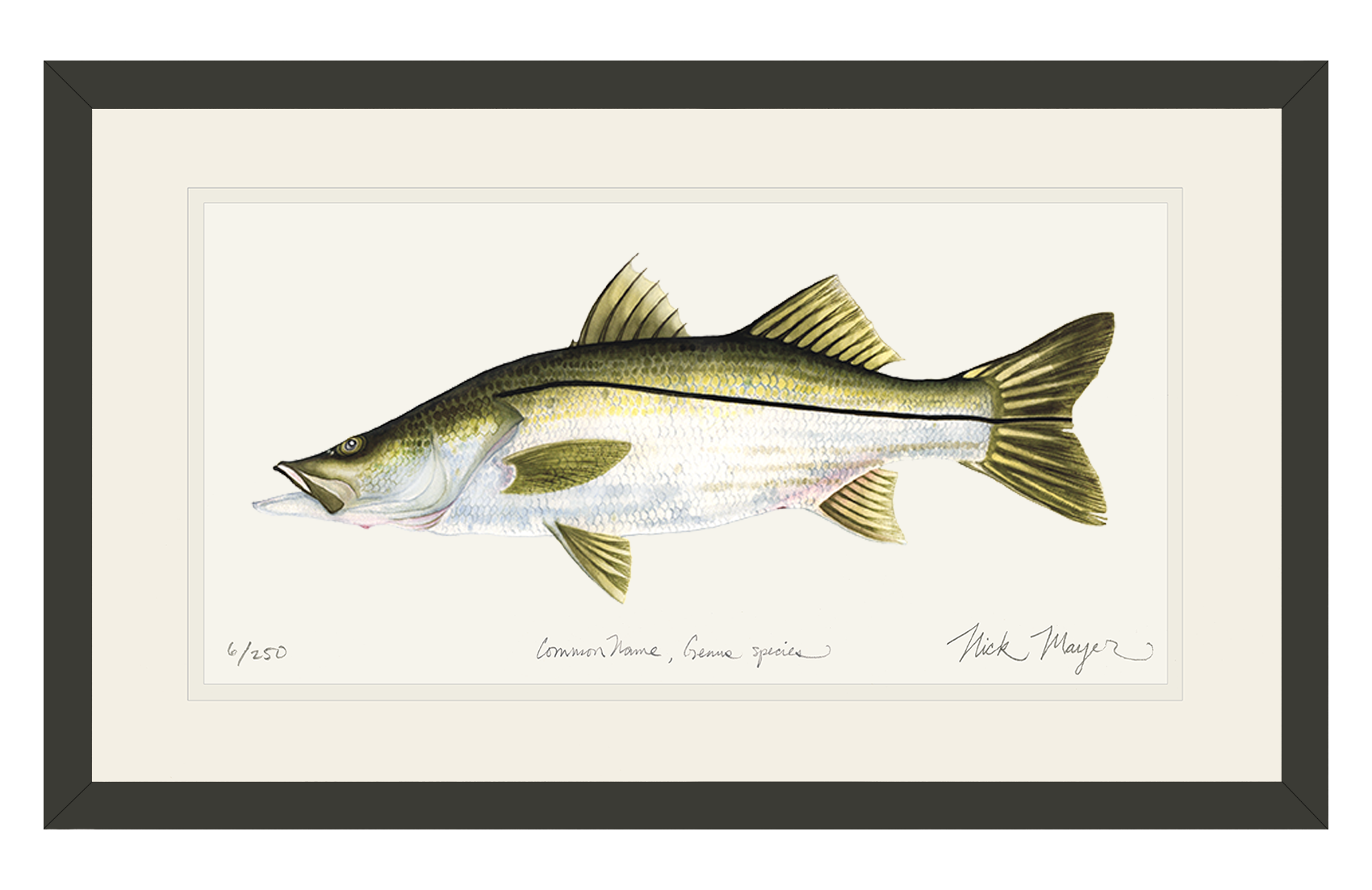 Snook Limited Edition Print