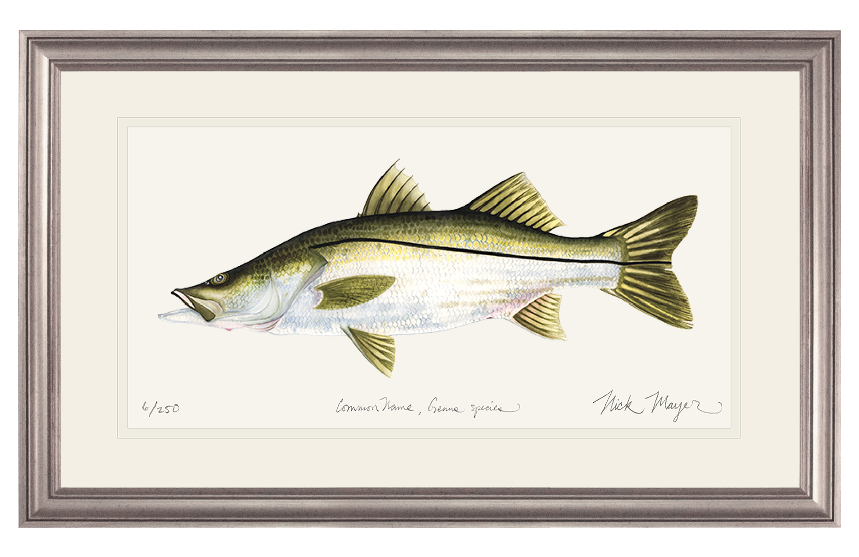 Snook, Medium Framed Hand-Signed Print