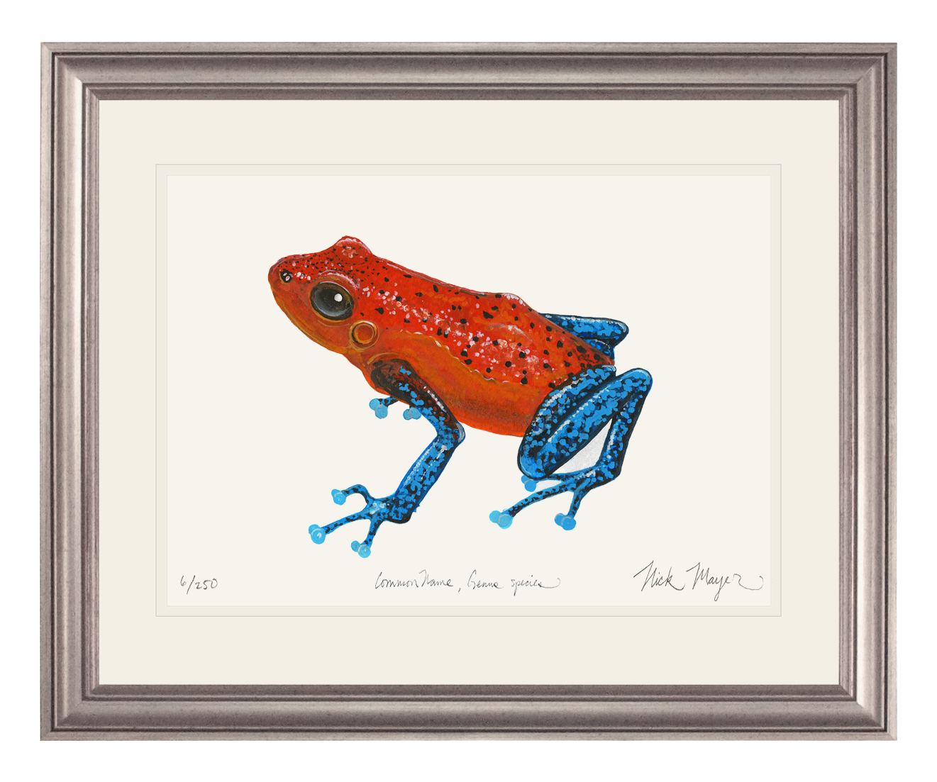 Strawberry Poison Dart Frog Print