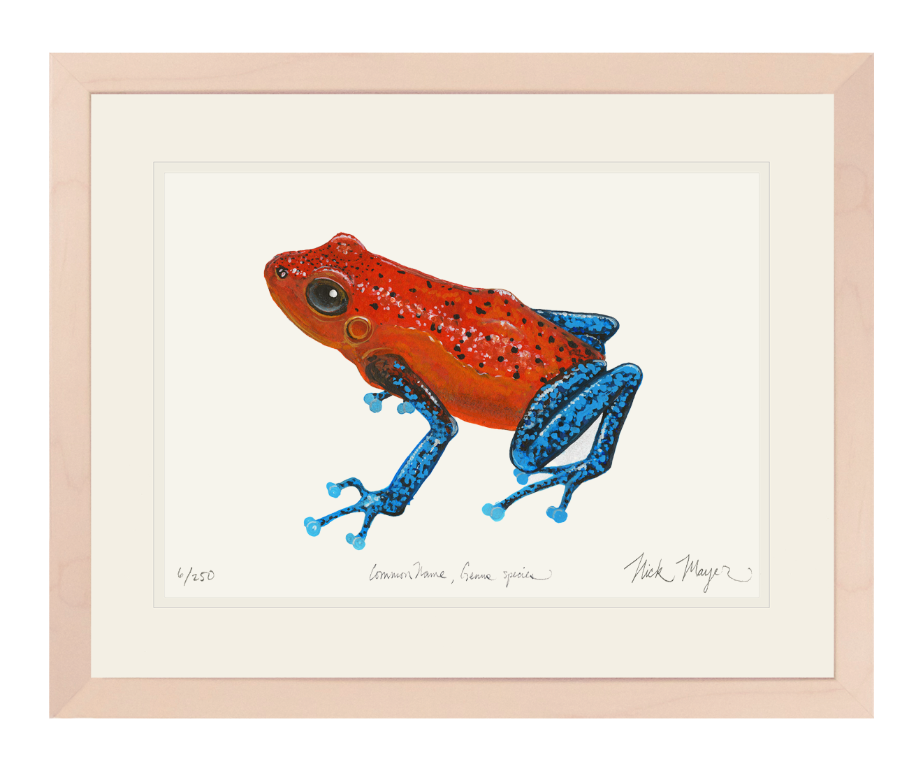 Strawberry Poison Dart Frog Limited Edition Print