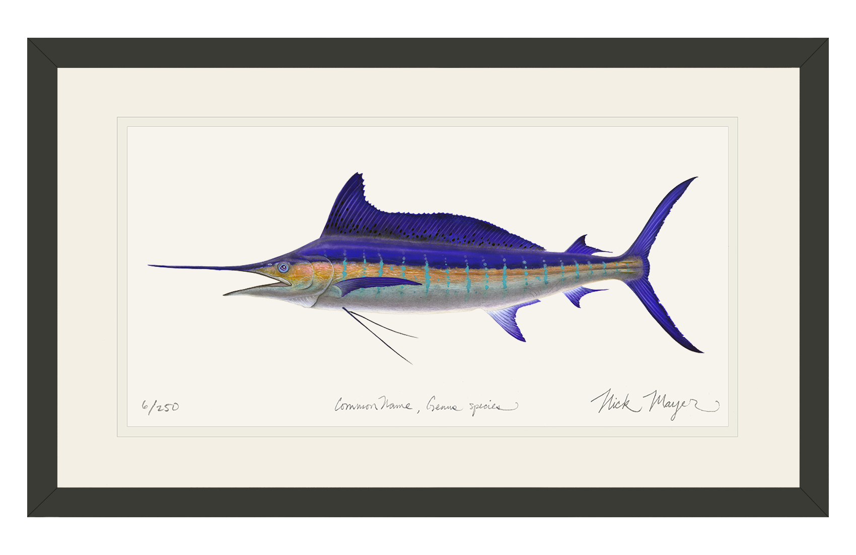 Striped Marlin Limited Edition Print